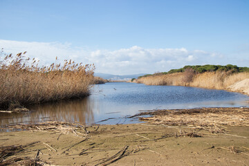 Landscape of delta of Llobregat river in El Prat de Llobregat