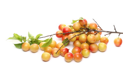 Wild yellow plums, prunes isolated on white background
