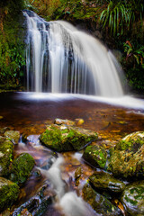Lush green rain forest waterfalls