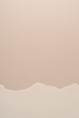  torn strips of paper