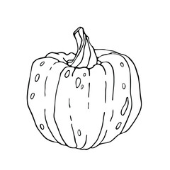 Silhouet of pumpkin. Thanksgiving and Halloween Element. For cookbook, recipes, menu. 