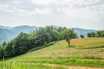 Hills around the settlement of Trešnjevica in Serbia.