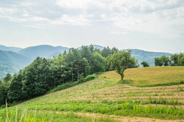 Fototapeta na wymiar Hills around the settlement of Trešnjevica in Serbia.
