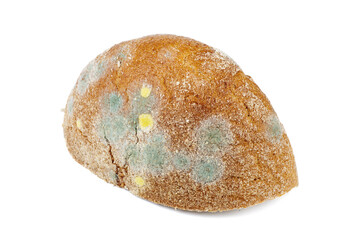 Piece of rye bread with mold isolated on white