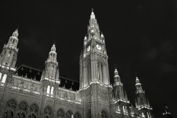 Vienna City Hall (Rathaus). Austria black and white.
