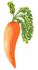 Isolated abstract illustration of a carrot on a white background