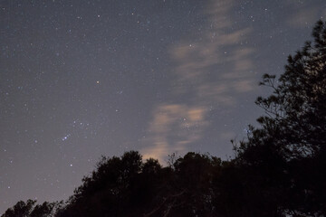 Night wide field astrophotography on a forest with constellations