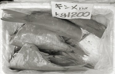 Tokyo seafood market