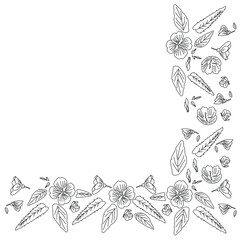 Pattern with flowers, plants, leaves,corner frame. Vector doodle illustration.