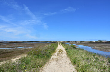 Fototapeta premium Sand Hiking Trail Over Tidal Marsh on the Cape