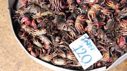 Seafood market in Asia