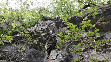 Sentiero per le cascate del Fosso di Teria a Secchiano nelle Marche
