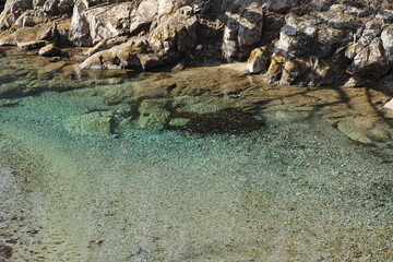 綺麗な水