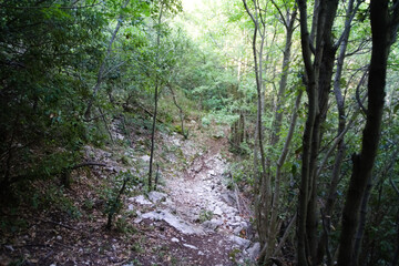 Sentiero per le cascate del Fosso di Teria a Secchiano nelle Marche