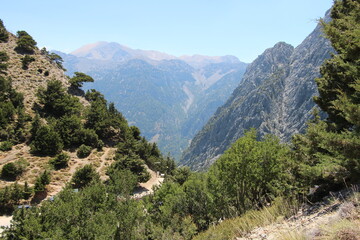 Mountain district with trees in greece