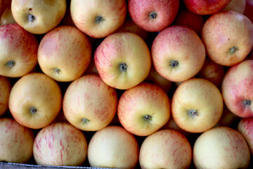 A bunch of apples like patterns with various color