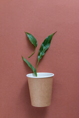 ecology concept with green leaves and paper cup