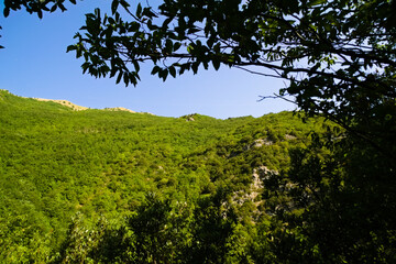 Fototapeta na wymiar Panorama lungo il sentiero delle cascate del Fosso di Teria a Secchiano nelle Marche