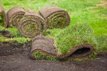 Stack of turf grass roll for lawn