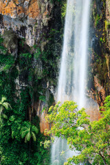 Purling Brook Falls in Springbrook National Park, Gold Coast Hinterland, Queensland, Australia