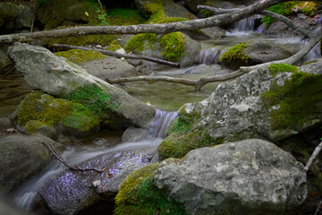 Fototapeta na wymiar Ruscello lungo il sentiero per le cascate del Fosso di Teria a Secchiano nelle Marche