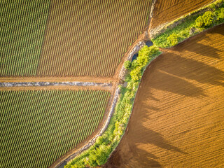 Sunrise over an Australian farm field growing fresh produce with red soil