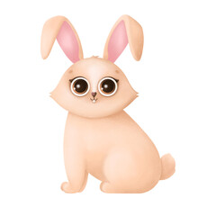 Cute Easter bunny isolated on a white background.