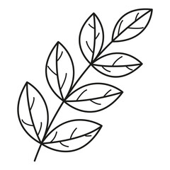 Leaf linear icon. Vector leaves logo. Black and white autumn leaf. Autumn leaves for your projects, illustrations, websites. 