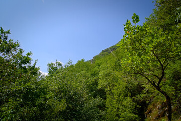 Obraz premium Panorama lungo il sentiero delle cascate del Fosso di Teria a Secchiano nelle Marche