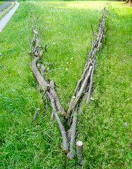 Fototapeta premium Stylish fence using the fallen tree