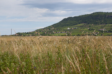 Summer landscape with fields, meadows, hills and a mountain. Summertime, vacation in Hungary at Lake Balaton.