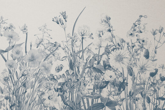 Wild flowers vintage monochrome background
