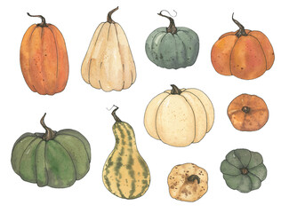 Watercolor pumpkin clipart, Fall thanksgiving clip art, Hand drawn autumn pastel farm green, orange, white, blue and red vegetable
