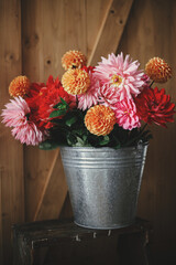 Autumn flowers bouquet. Beautiful pink and red dahlias and asters flowers in metal bucket on rustic wooden background. Fresh colorful dahlias in rural room, autumn season in countryside © sonyachny