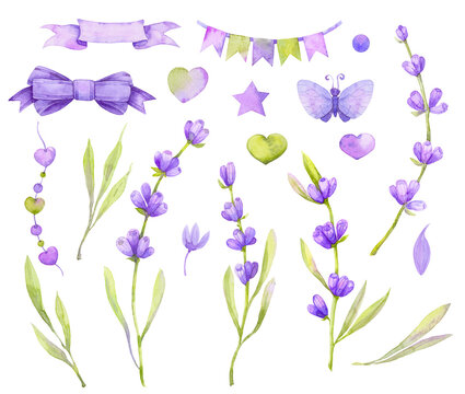 large set of lavender flowers, flags, bows, leaves. Watercolor illustration