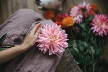 Woman in linen dress sitting on wooden rustic bench and holding pink dahlia flower, view above. Rural slow life aesthetic. Autumn season in countryside. Florist arranging autumn flowers bouquet