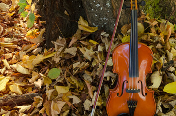 violin on the ground with grass and leaves, musical instrument with leaves and bow beside