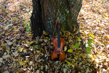 musical instrument leaning on a tree, classical violin