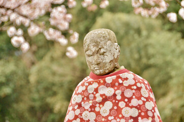 Spring has arrived for Jizo