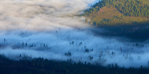 Morning fog covers the forest in the mountain valley after sunrise.