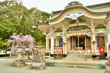 Sakura, shrine, and guardian deity of guardian dogs