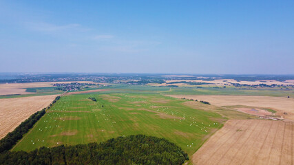 Fototapeta na wymiar Top view of golden yellow summer fields