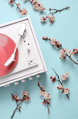 Retro vinyl record player with beautiful white flowering branches on blue pastel background. Springtime, minimal music concept. Flat lay, top view