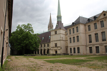 ducal palace in nancy in lorraine (france) 