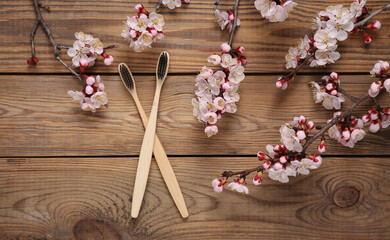 Eco bamboo toothbrushes and beautiful white flowering branches on wooden background. Springtime, eco concept. Flat lay, top view.