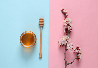 Obraz na płótnie Canvas Honey Bee jar with wooden spoon and beautiful white flowering branch on pink blue background. Springtime concept