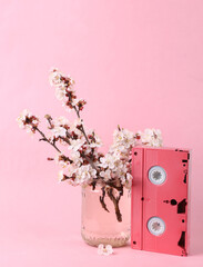 Video cassette and Beautiful flowering branches in glass jar on pink background.