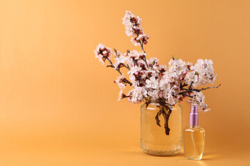 Perfume bottle and Beautiful flowering branches in glass jar on orange background.