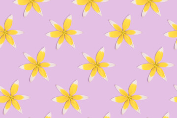 Repetitive pattern made from head of yellow wild tulip flowers on a purple pastel background.