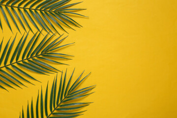 Obraz premium Tropical background. Palm leaves on a yellow background. Copy space